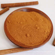 100% Natural Spice Extract Organic Cinnamon Powder